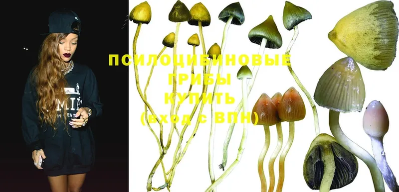 Псилоцибиновые грибы MAGIC MUSHROOMS  купить наркоту  Богданович 